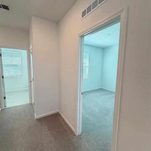 6017 Wellbeing Way — Photo 45