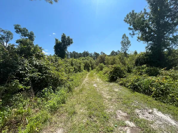 107 Lake Margaret Boulevard, Pomona Park, FL 32181