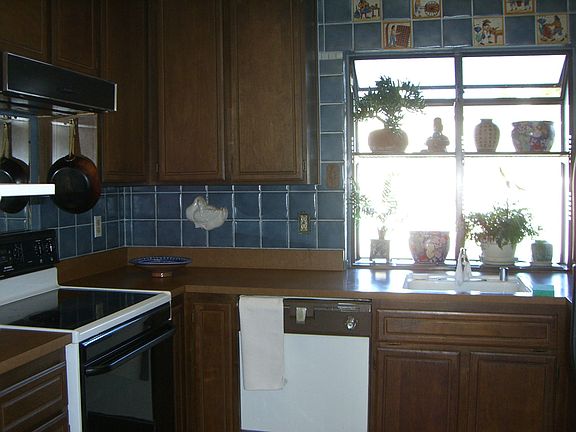 Kitchen with green house window