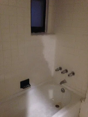 Rented by First Executive Realty Inc | media 1