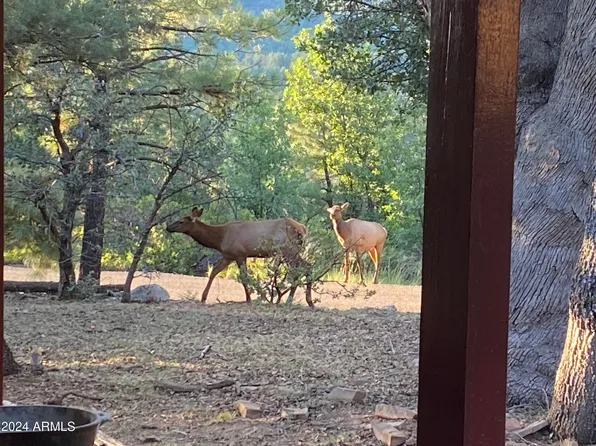 4838 N Rim View Loop --, Strawberry, AZ 85544