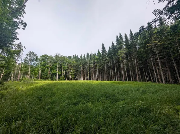 C5-69E-4 Bear Rock Way, Pittsburg, NH 03592