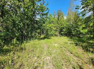 290 Jacoby Ln, Wappapello, MO 63966