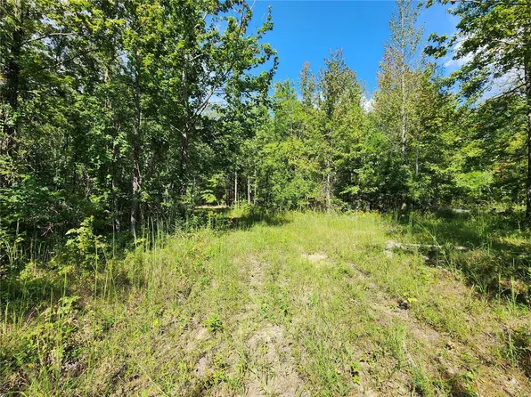 290 Jacoby Ln, Wappapello, MO 63966