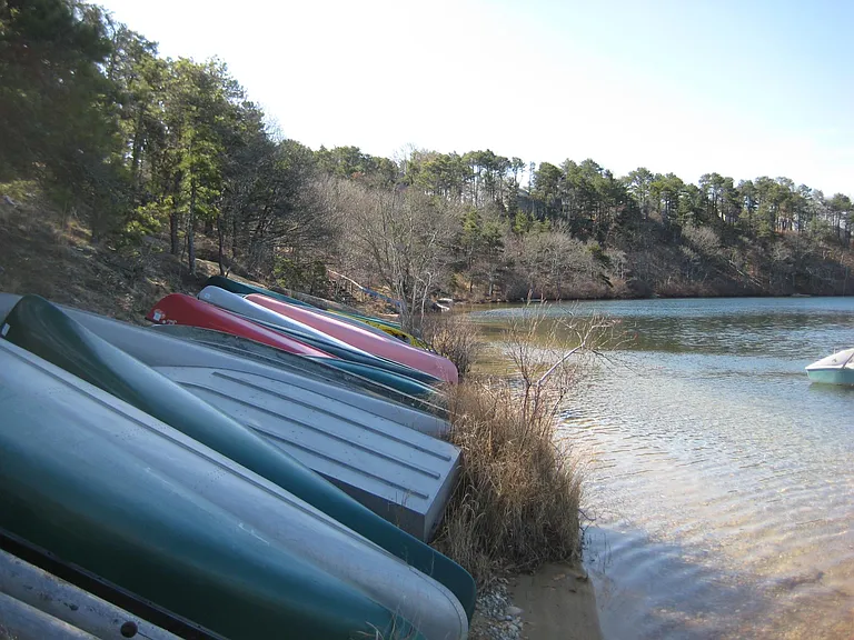 258 Sheep Pond Dr — Photo 16