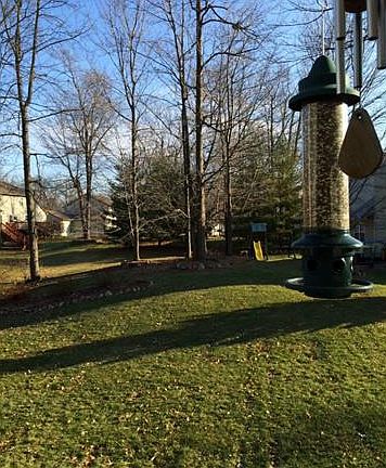2nd image of 4402 Red Oak Blvd