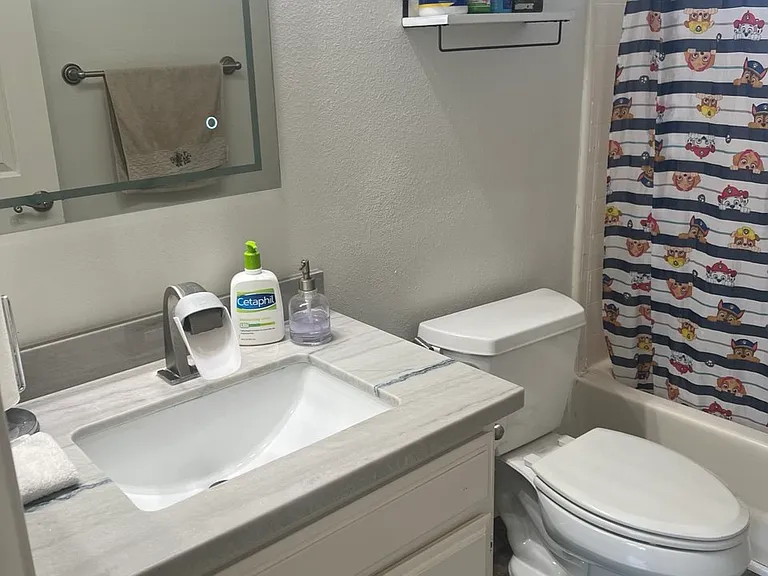 11207 Silver Buckle Way — Photo 49