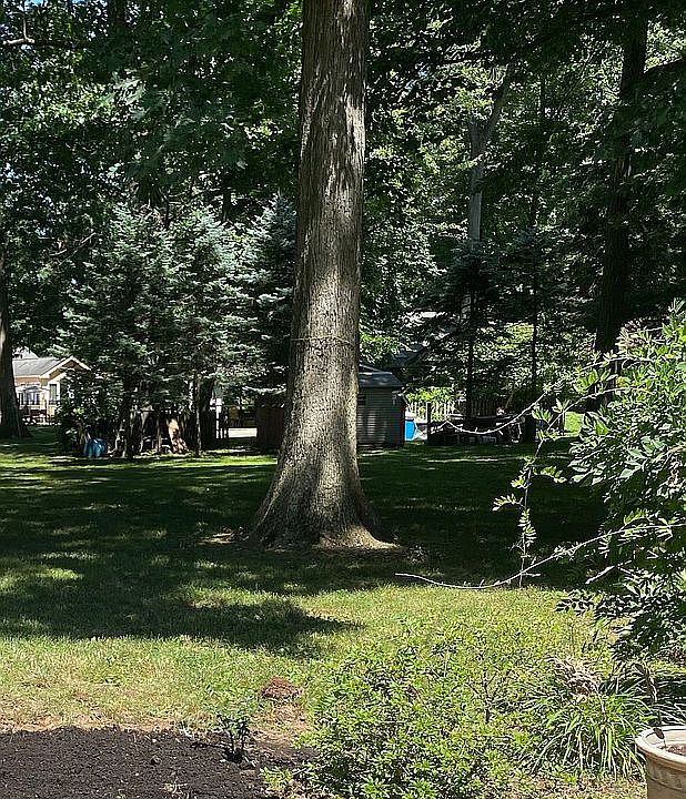 2nd image of 204 1/2 Pioneer Dr