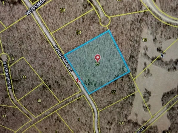 Forbes Rd, Edwards, MO 65326
