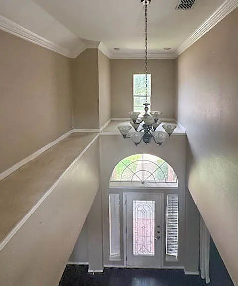104 San Mateo Ct — Photo 29