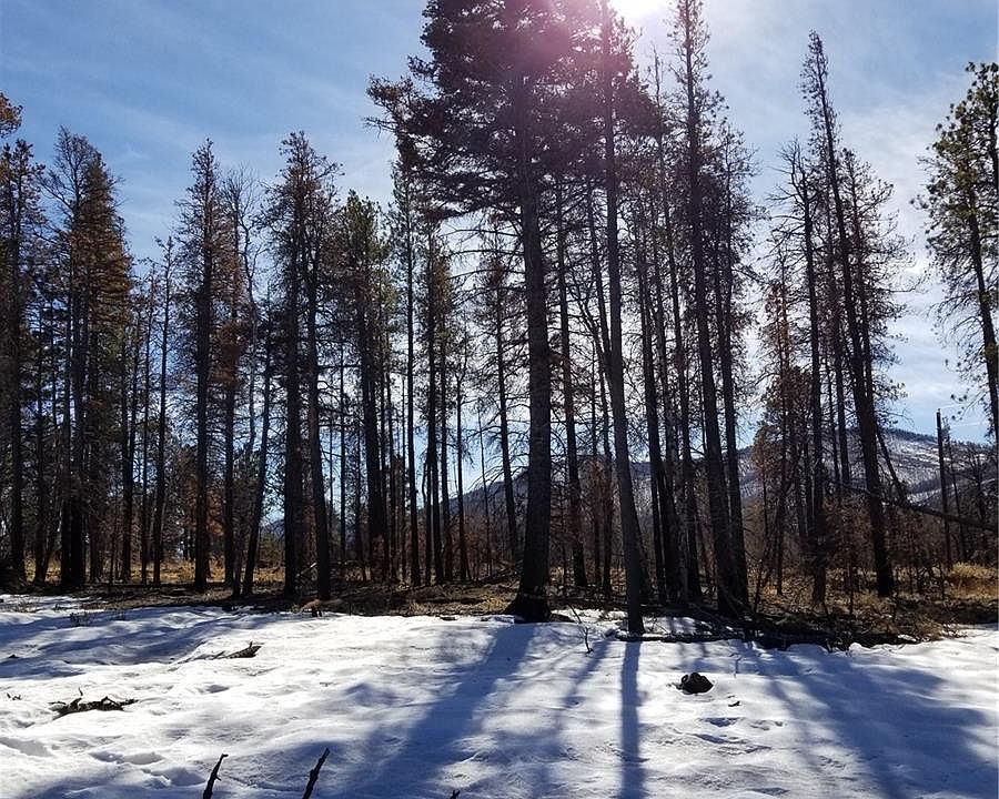 1st image of 13621 Forbes Park Rd