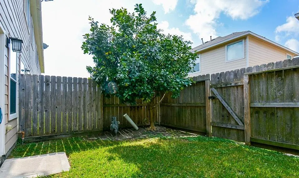3 bed, 2.5 bath, 1668 sqft, $1,900 — Photo 3