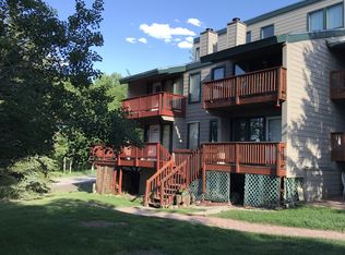 23195 Schussmark Trl UNIT E, Oak Creek, CO 80467