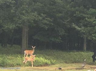 54 Hunt Trl, Albrightsville, PA