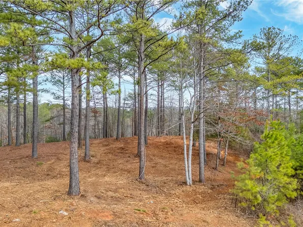 321 Golden Bear Dr, Sunset, SC 29685