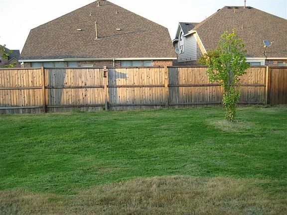back yard