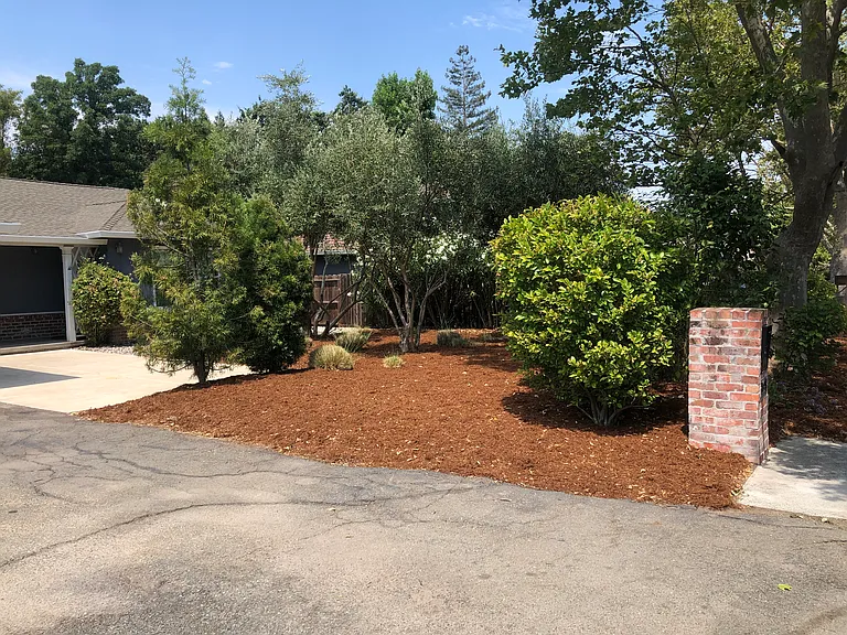 Front Yard