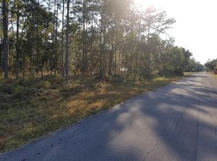 Tbd Ne 150 Ave, Williston, FL 32696