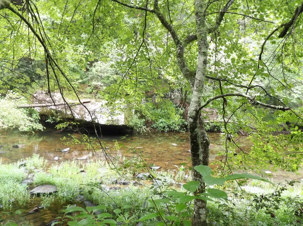 5 Hemlock Bluff Way, Deer Lodge, TN 37726