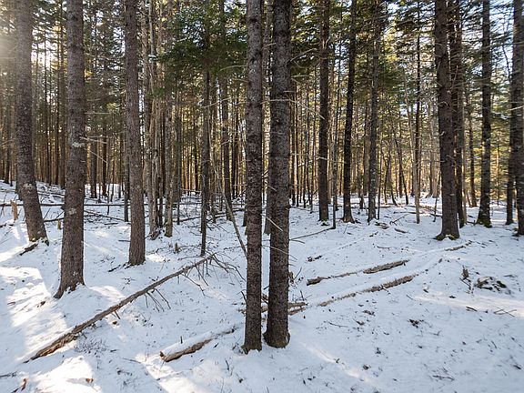 2nd image of 25 Long Pond Road