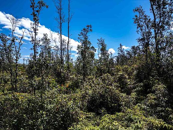 4th image of Road 10 Poouli Lot 5838