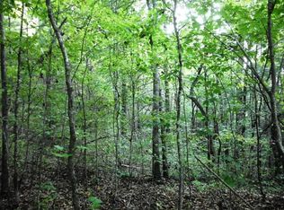 Childers Creek Rd, Reliance, TN 37369