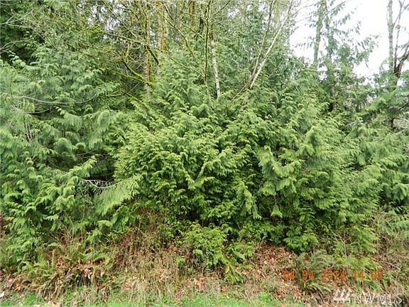 4th image of W Alder Dr