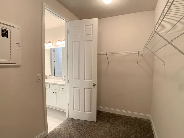1499 Tropical Pine Cv — Photo 30