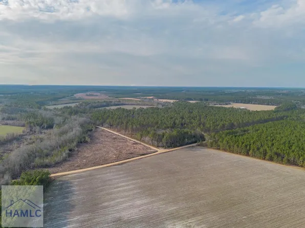 3 Reddish Rd, Odum, GA 31555