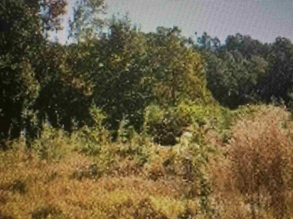 7410 Floyd Dr, Pensacola, FL 32526