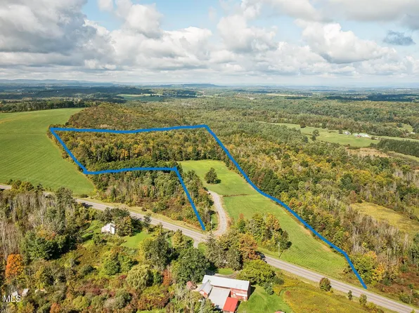 1118 Corbin Hill Road, Root, NY 12166