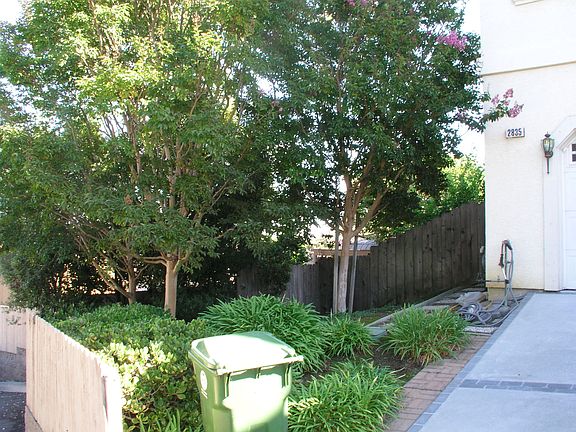 Lower driveway garden