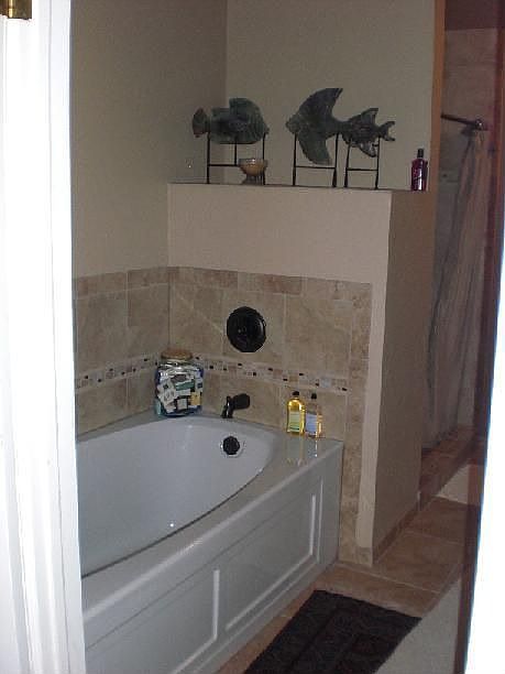 Updated Master Bath