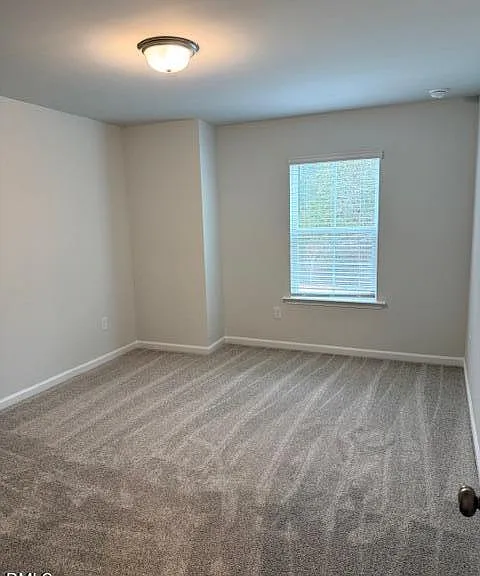 315 Fosterton Cottage Way — Photo 34