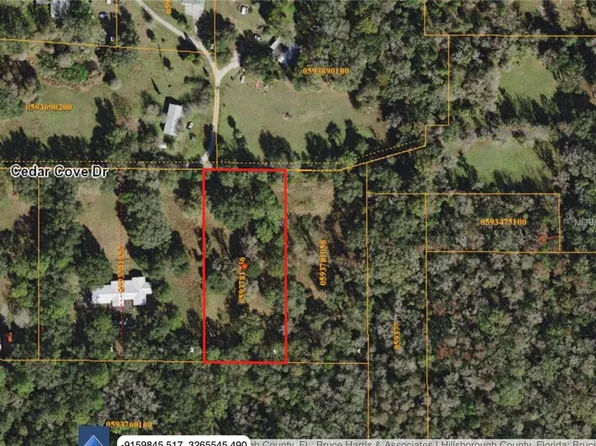 10817 Cedar Cove Dr, Thonotosassa, FL 33592