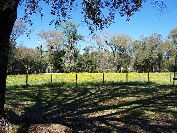 View from back porch