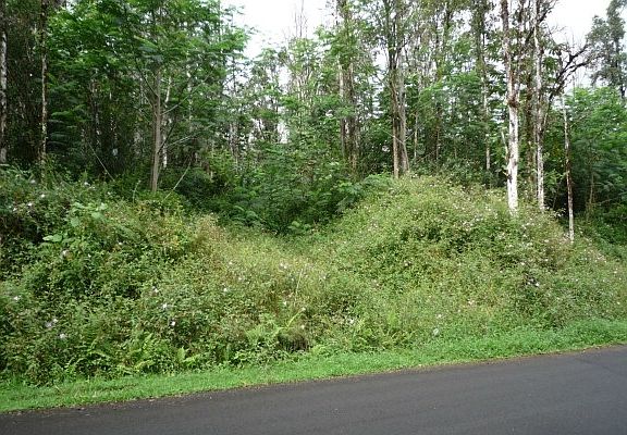 2nd image of 13-3572 S Nohea St Lot 64