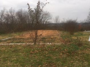 311 College St, Crane, MO 65633