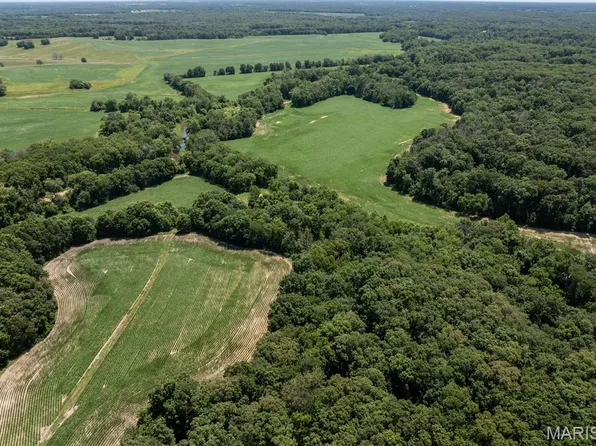 0 Highway W, Bethel, MO 63434