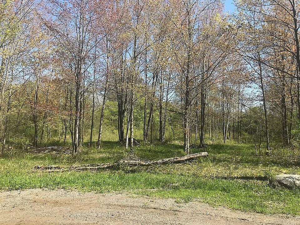 17428 Goosen Dr, Coopersville, MI 49404 Zillow