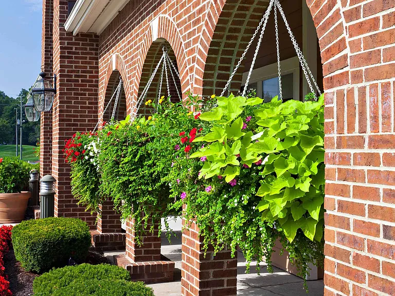 Beautifully Maintained Grounds and Landscaping