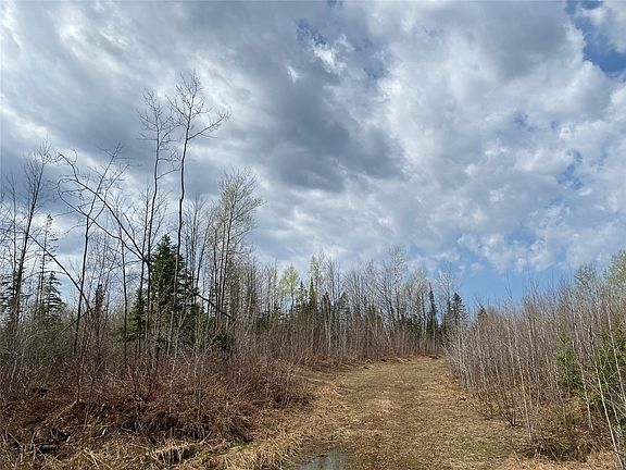 5th image of Near Wilson Lake Road