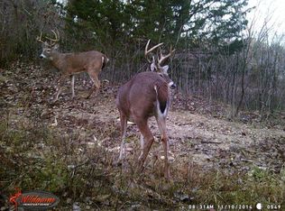 3323 540th Rd, Albany, MO 64402