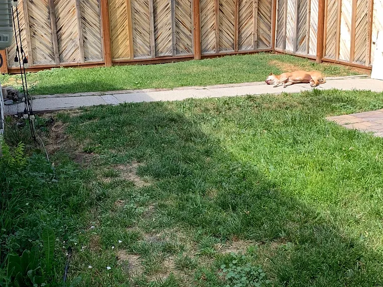 Backyard - with paver pad for BBQ or firepit