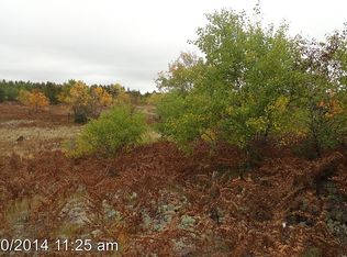 Tbd Danaher Plains Rd, Seney, MI 49883