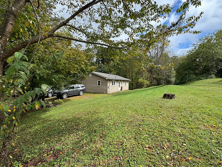 Back yard
