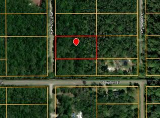 10160 WEATHERBY AVENUE, HASTINGS, FL 32145