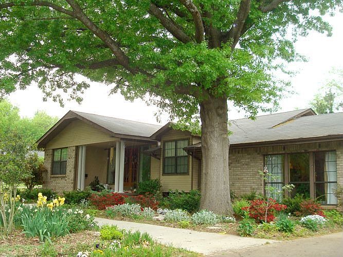 House Front in Spring