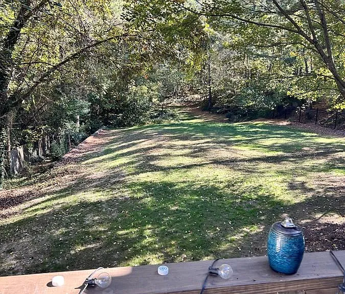 Back yard from upper deck.