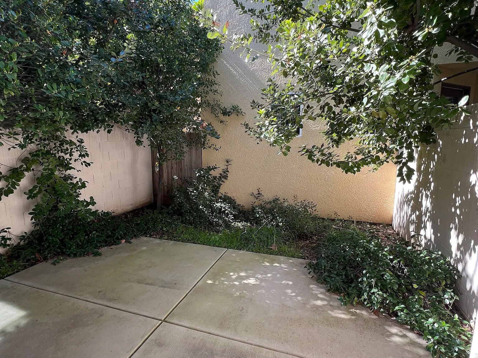 3 bed, 2.5 bath, 1203 sqft, $2,200 — Photo 2